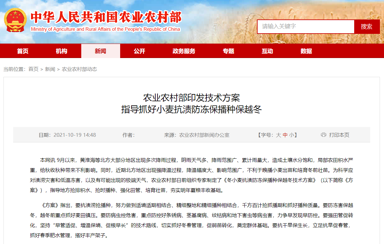 農(nóng)業(yè)農(nóng)村部印發(fā)技術(shù)方案 指導(dǎo)抓好小麥抗?jié)n防凍保播種保越冬