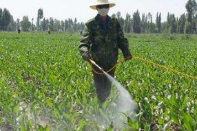 化學除草應注意的問題