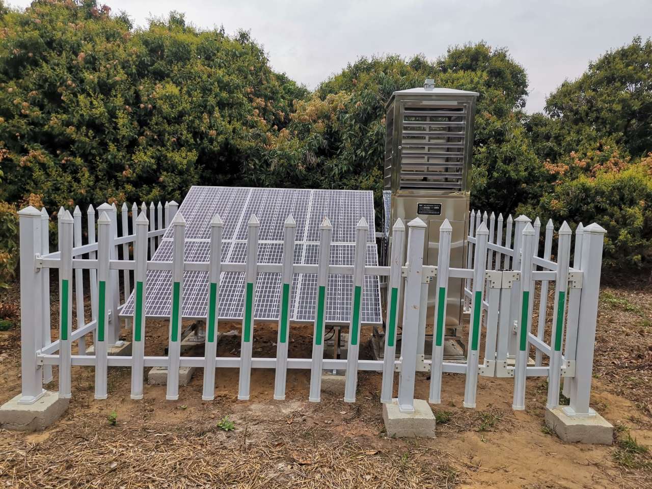  建標(biāo)準(zhǔn)基地，育富民產(chǎn)業(yè)：都成蟲情測報燈走進(jìn)廣東荔枝生產(chǎn)基地