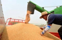 關(guān)系14億人的飯碗，定了這些大事！