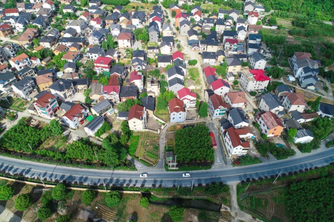 1623048562496705.jpg 33.jpg