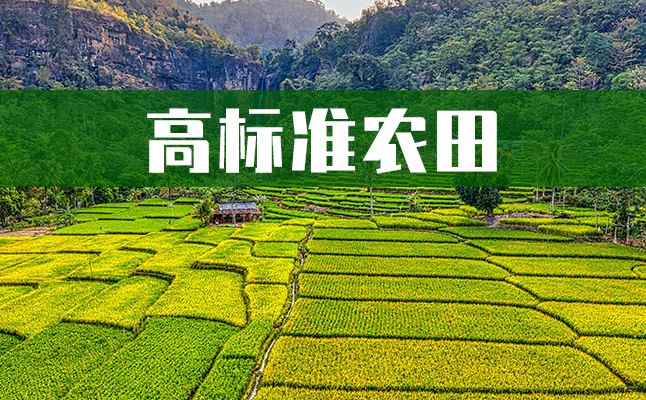 1624516154667628.png 高標(biāo)準(zhǔn)農(nóng)田.png