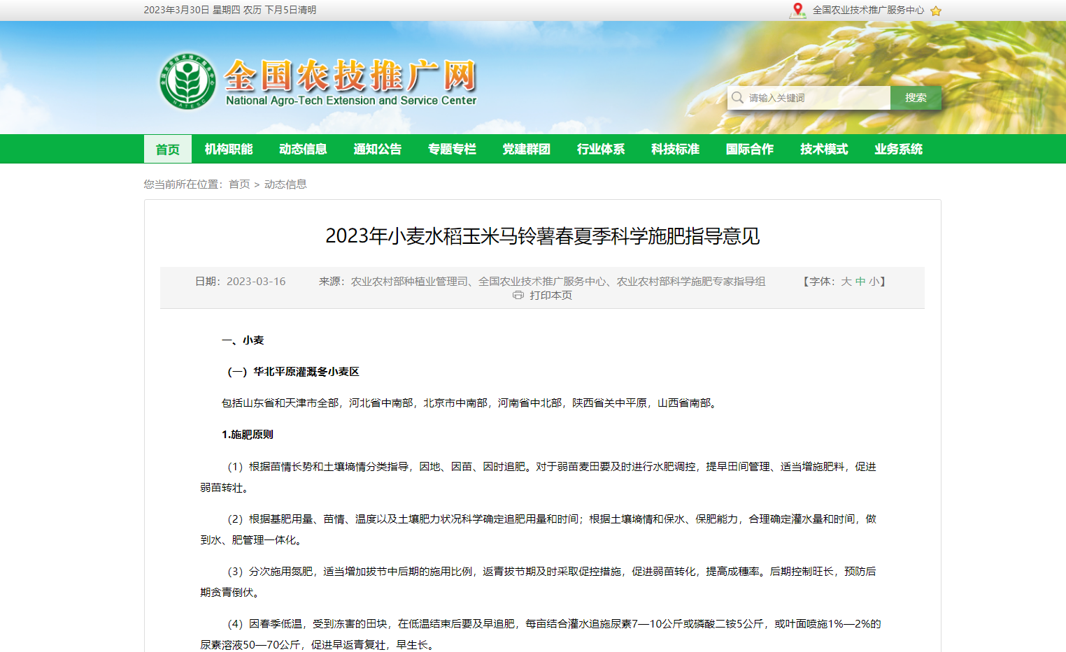 2023年小麥水稻玉米馬鈴薯春夏季科學施肥指導意見