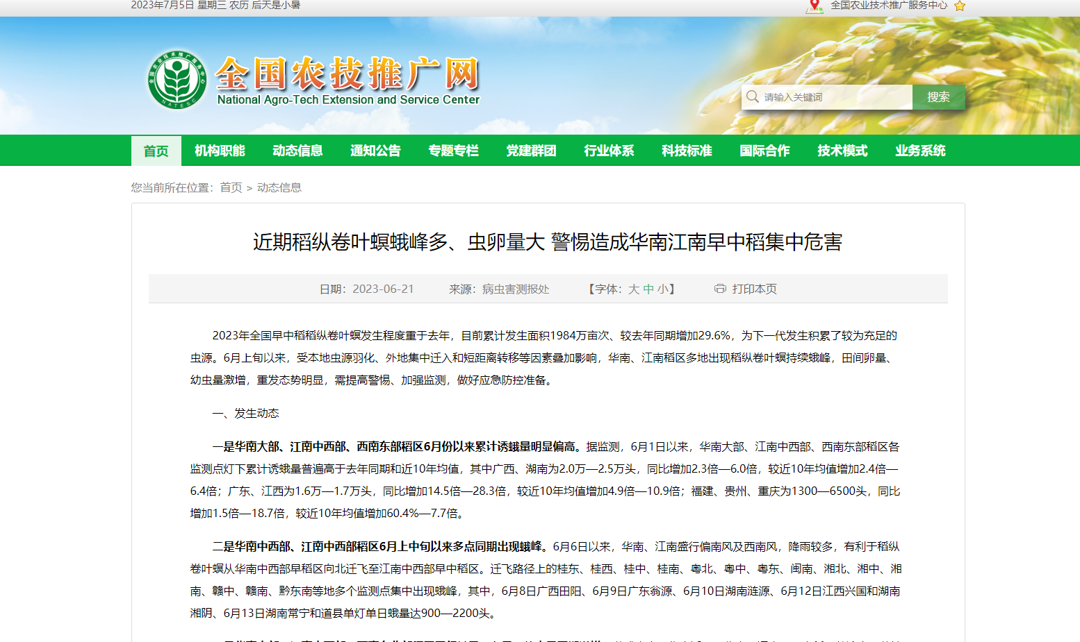 近期稻縱卷葉螟蛾峰多、蟲卵量大 警惕造成華南江南早中稻集中危害